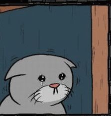 유툽스타가 되고싶은 고양이.jpg