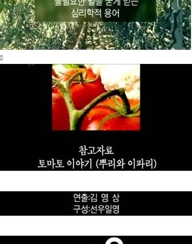 내 텃밭에서 기르는 식물은 무죄