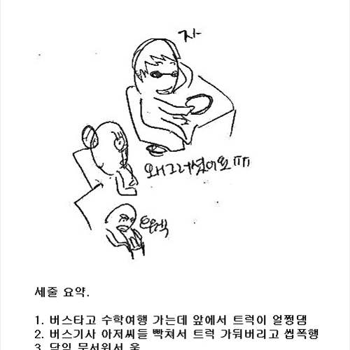 [스압] 수학여행 버스기사의 패기