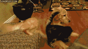 오빠 사랑해요.gif
