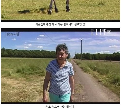 장식끈을 만드는 75세의 할머니