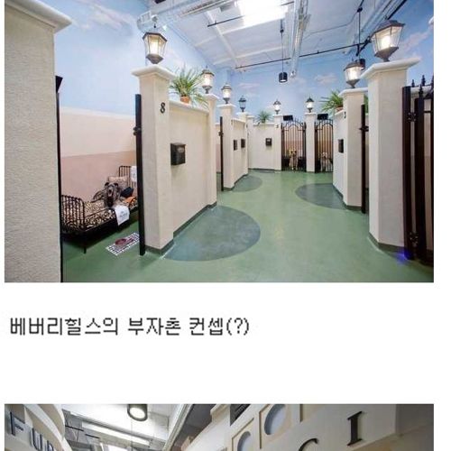 [스압]부잣집개와고양이들의 휴가