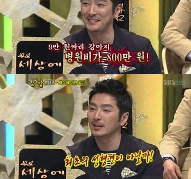 강아지도 쌍수해서 용 되는 세상