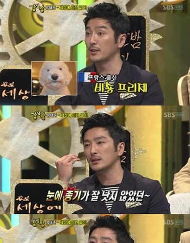 강아지도 쌍수해서 용 되는 세상
