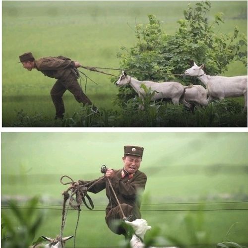 날래 가자우.jpg