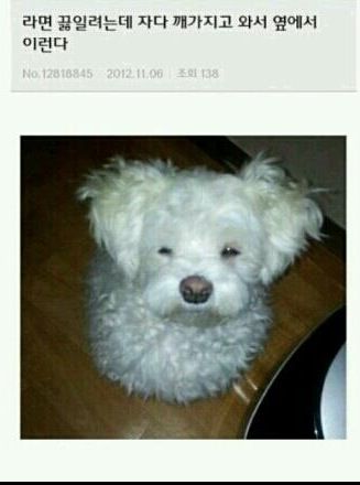 너도 라면먹고싶니?.jpg