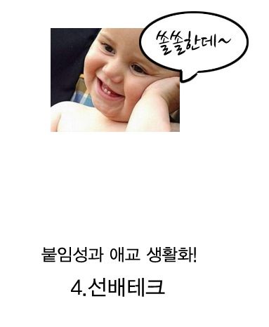 대세 재테크.jpg