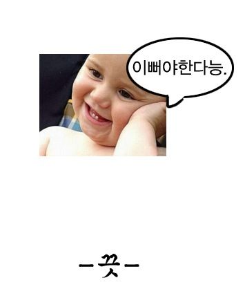 대세 재테크.jpg