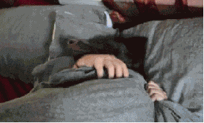 아웅 잘잤다.gif