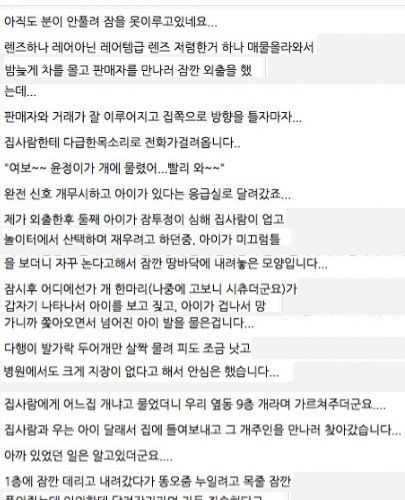 12층에서 개를던짐...txt