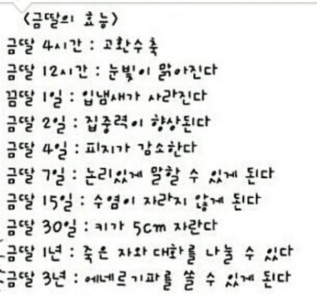 금딸의 효과.jpg