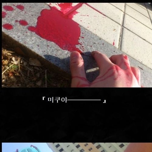 [스압]그녀를 만나고싶었다.jpg