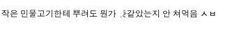 대륙의 과자.jpg