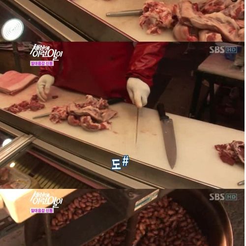 [스압]음악 신동.jpg