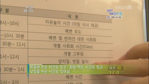 애견 유치원.jpg