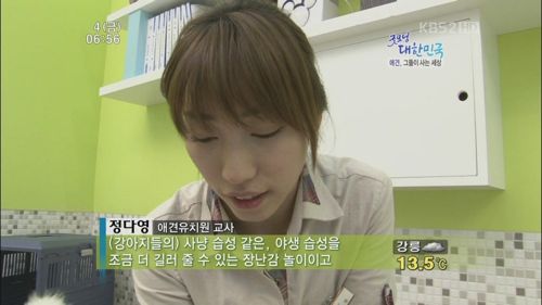 애견 유치원.jpg