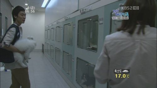 애견 유치원.jpg