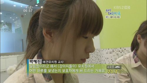 애견 유치원.jpg