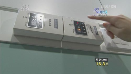 애견 유치원.jpg