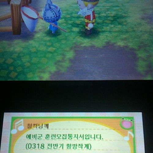 동물의숲 편지류