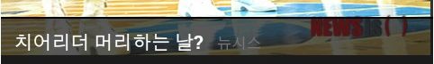 응원의 꽃 치어리더.jpg