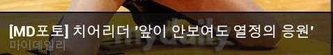 응원의 꽃 치어리더.jpg