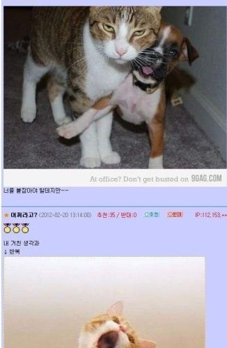 내거친생각과.jpg