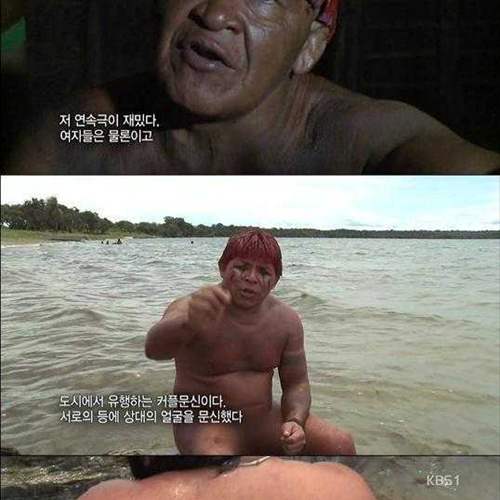 정글의 참모습.jpg
