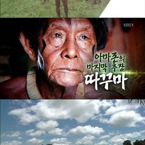 정글의 참모습.jpg