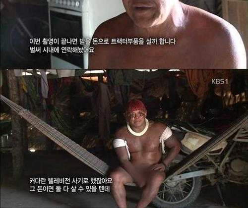 정글의 참모습.jpg