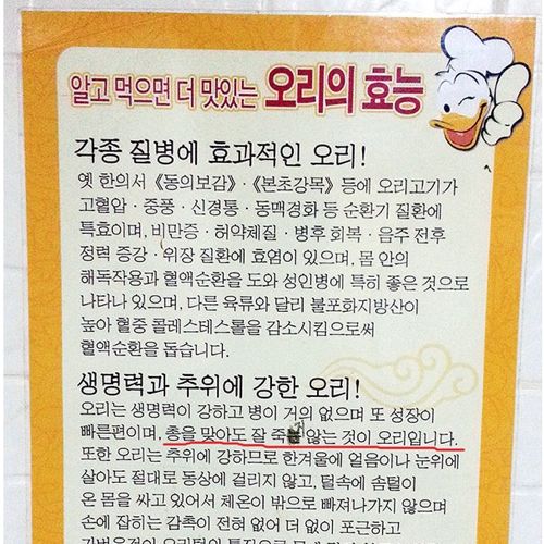 흔한 오리 불고기집.jpg