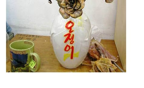 오징어 공예.jpg
