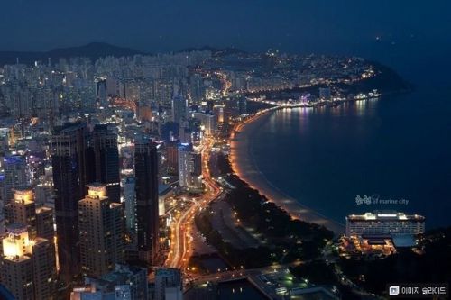 부산의 야경.jpg