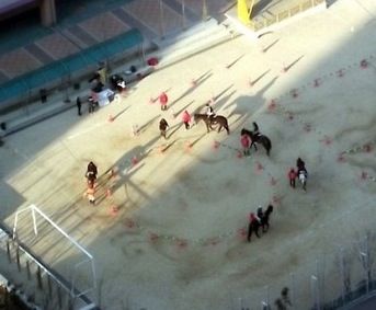 잘사는 동네 중학교 특별활동의 위엄