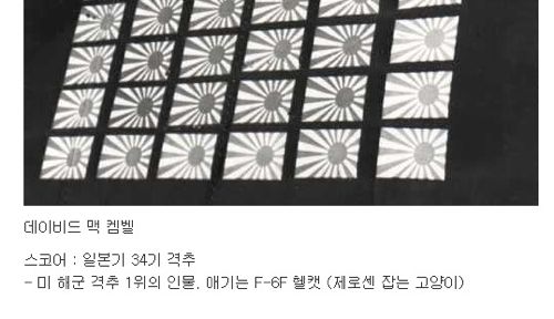 잘 어울리는 욱일승천기.jpg