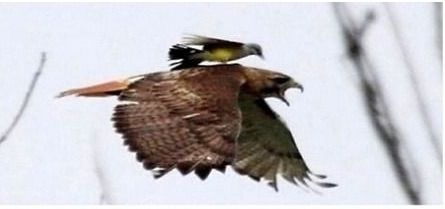 매형이 대리운전 해줌ㅋ.jpg