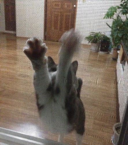 몰카찍다 걸림~ ㄷㄷ.jpg