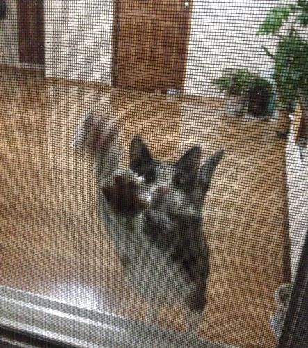 몰카찍다 걸림~ ㄷㄷ.jpg