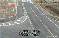 빠른 상황판단.gif