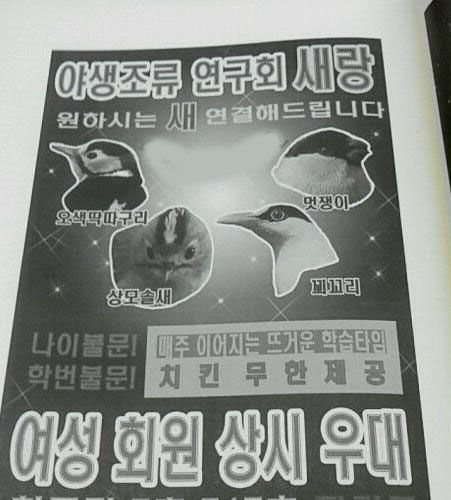 이화여대 새 동아리.jpg