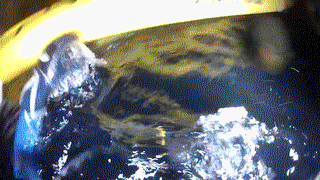 이 보트는 이제 제껍니다.gif