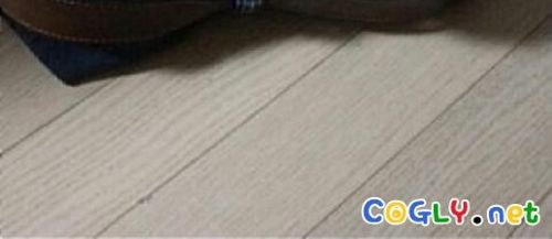 남편이 남기고 간 장미 두송이.jpg