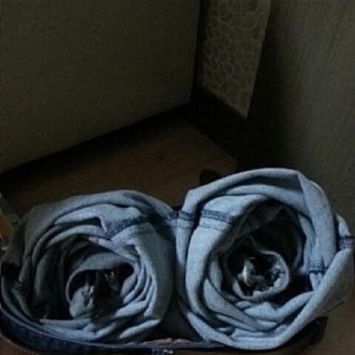 남편이 남기고 간 장미 두송이.jpg