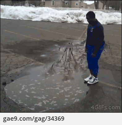 웅덩이다. 밟고 가고 싶다.gif