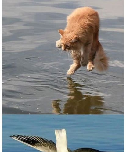 퍼펙트한 타이밍.jpg