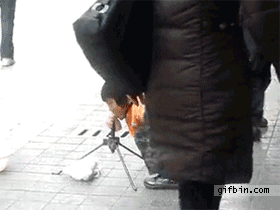 대륙의 흔한 구걸.gif
