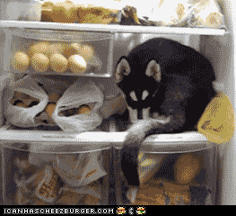 향수병.gif