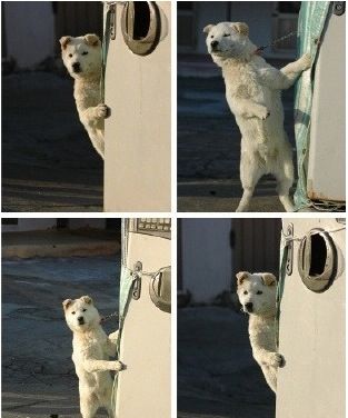 아 치킨올때가 됐는데..