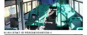 차 자랑 甲.jpg