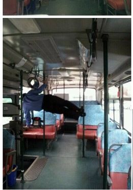 차 자랑 甲.jpg